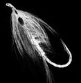 flyfishing in Oregon guided trips