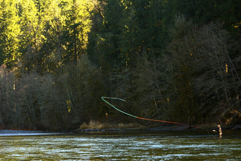 Person fly fishing in the Sandy River with dense trees behind them
