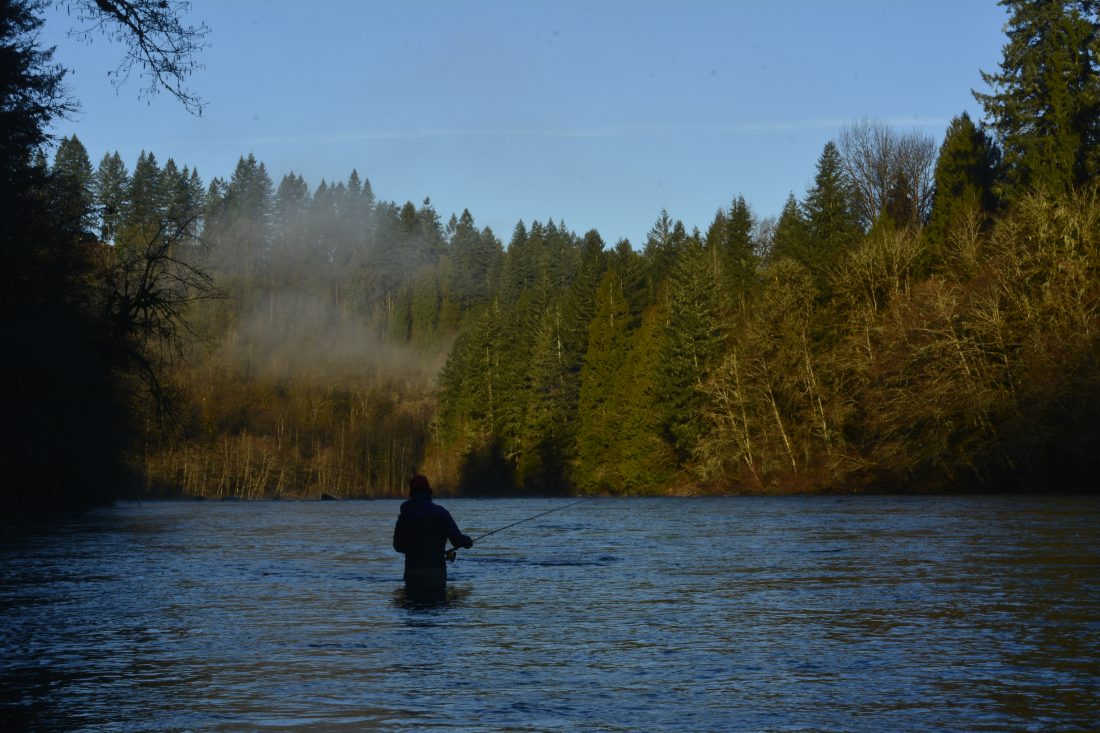 Person fishing kne-deep in the Sandy River with trees and foggy sky in front of them