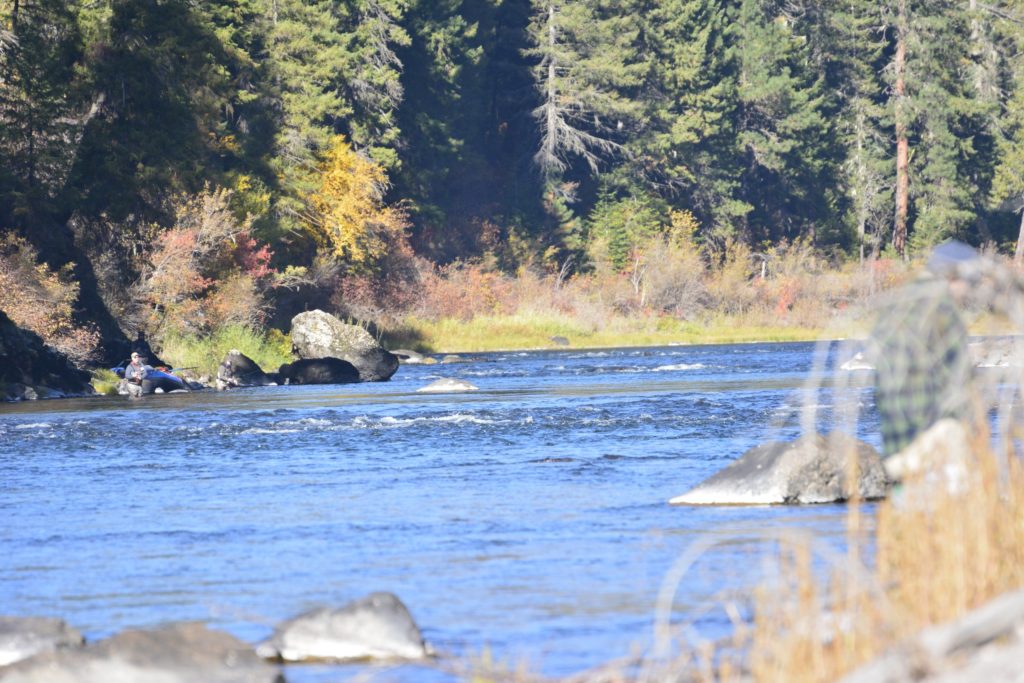 Grand Ronde River with a forest and person fishing in distant background