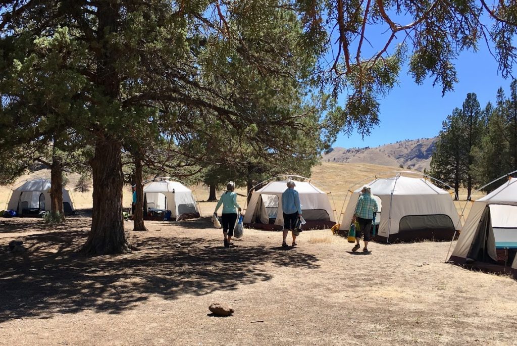 Three people walking towards desert-like campsite with tents lined up in a row